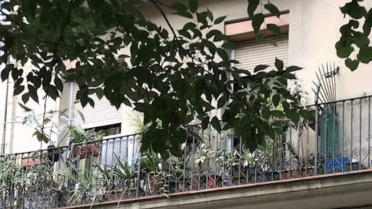 Rostisseria La Brasa