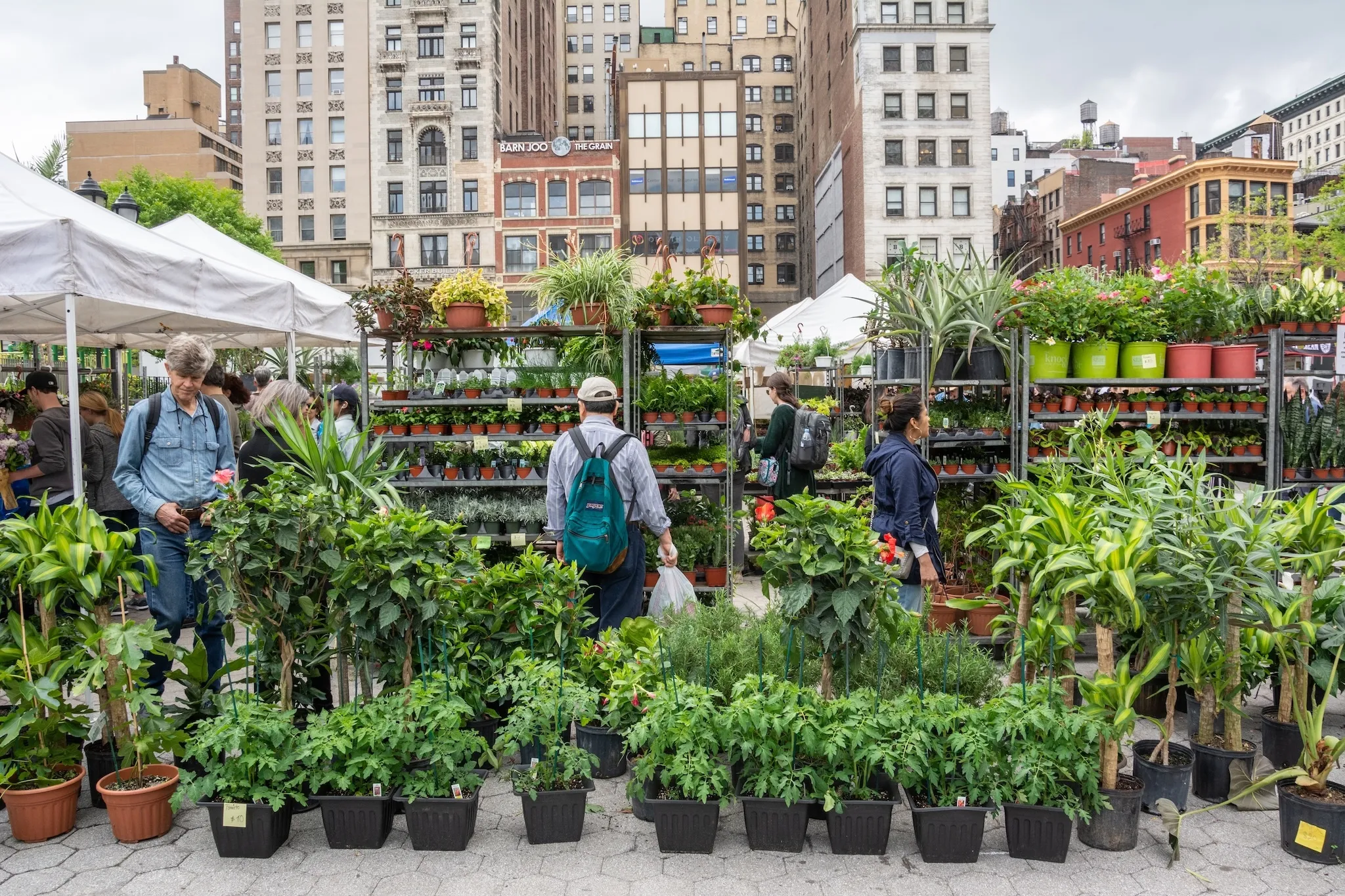 Stalls of flowers and plants at the Union Square Greenmarket in New York City. Located at Union Square, 17th Street between Broadway and Park Avenue S
