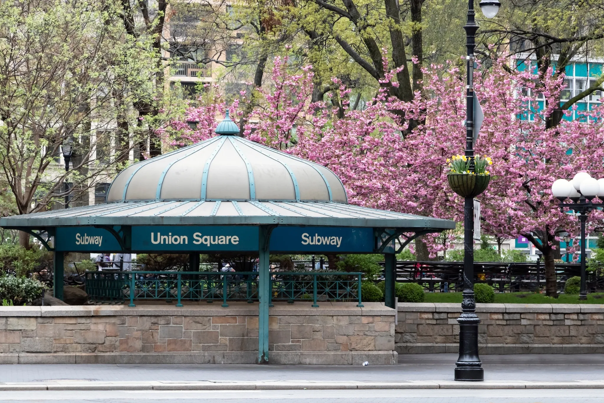 New York City subway station entrance in Union Square Park with pink spring flowers