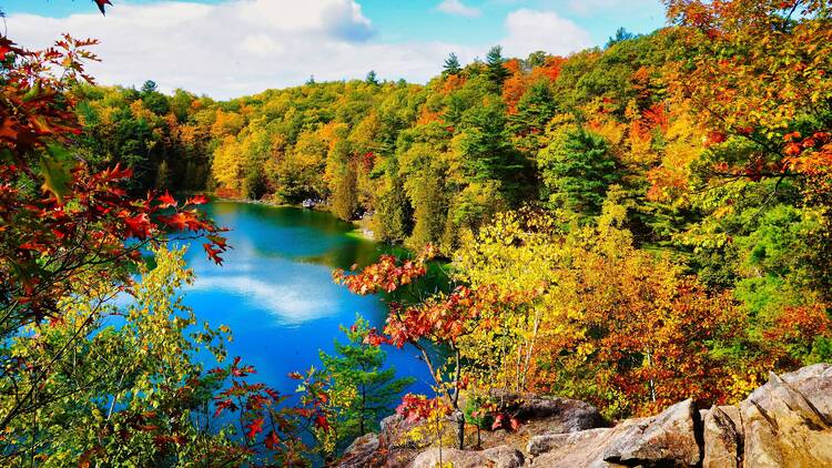 Pink Lake