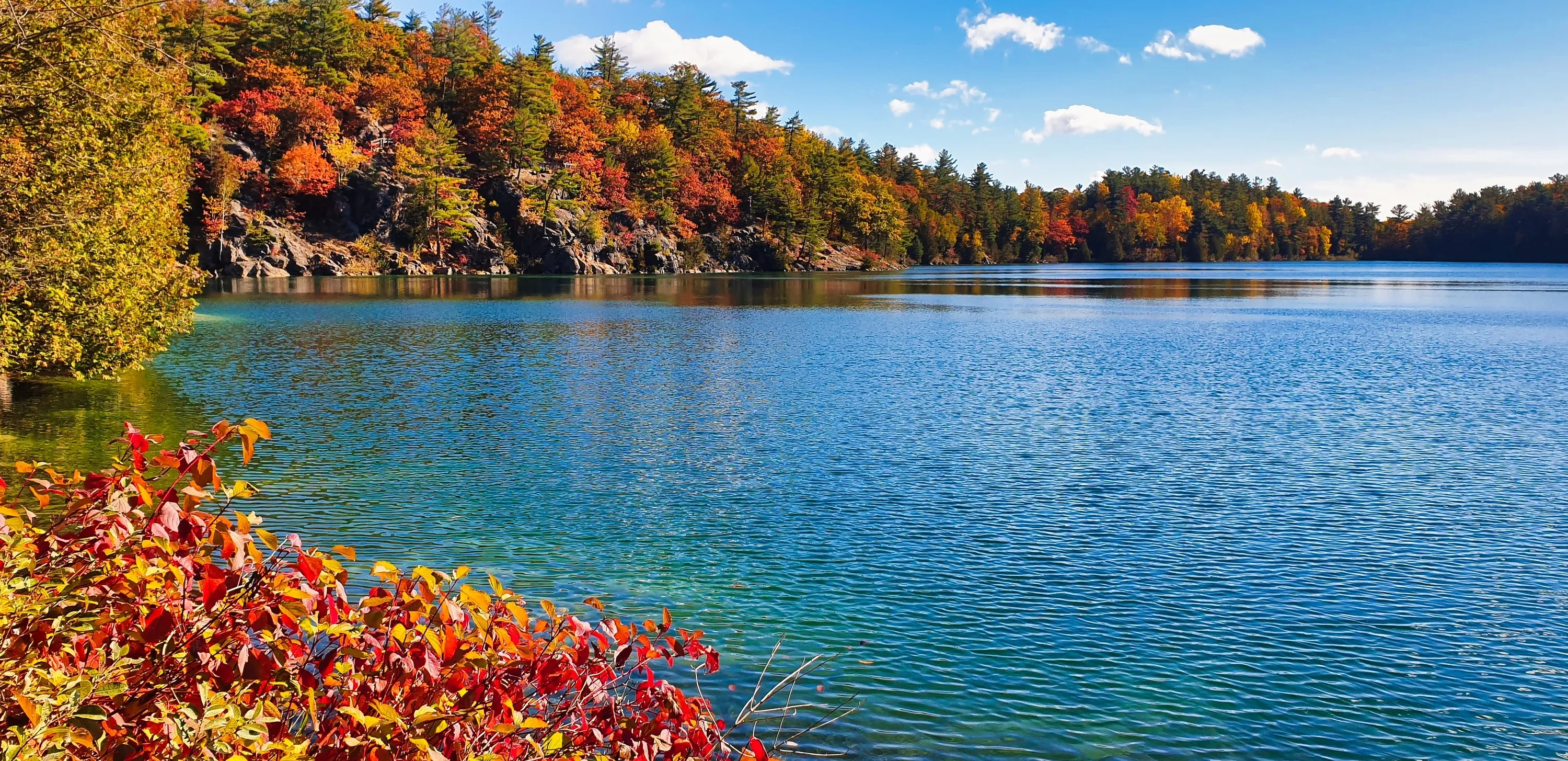 Pink Lake