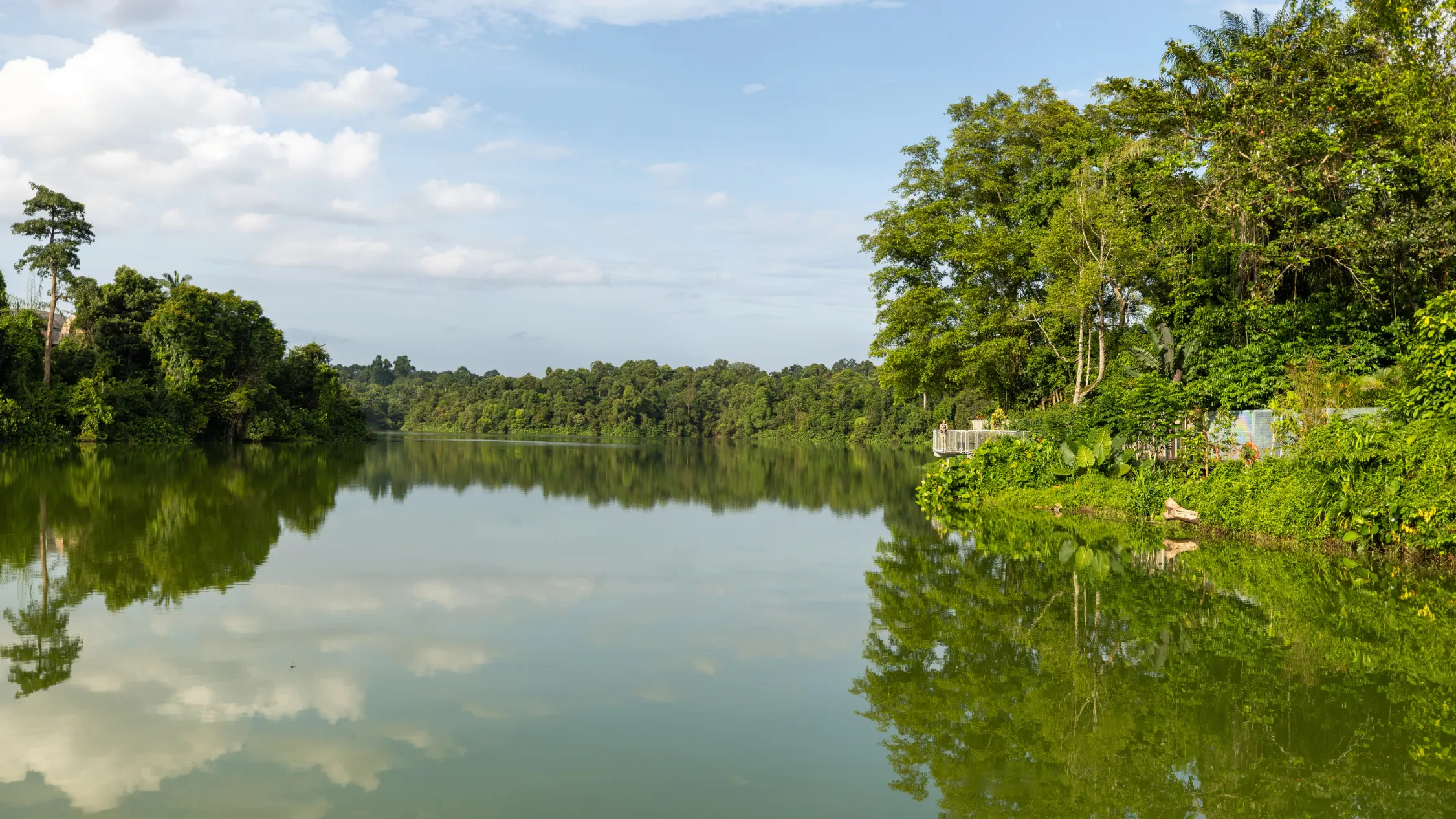 The Mandai Boardwalk