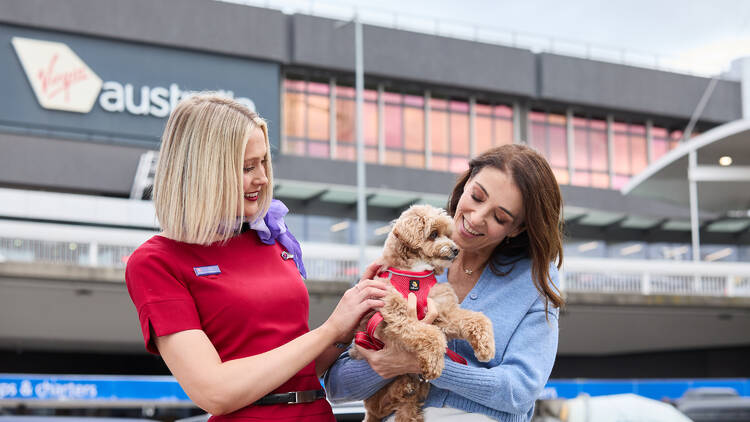 Pet owner and flight attendant with dog