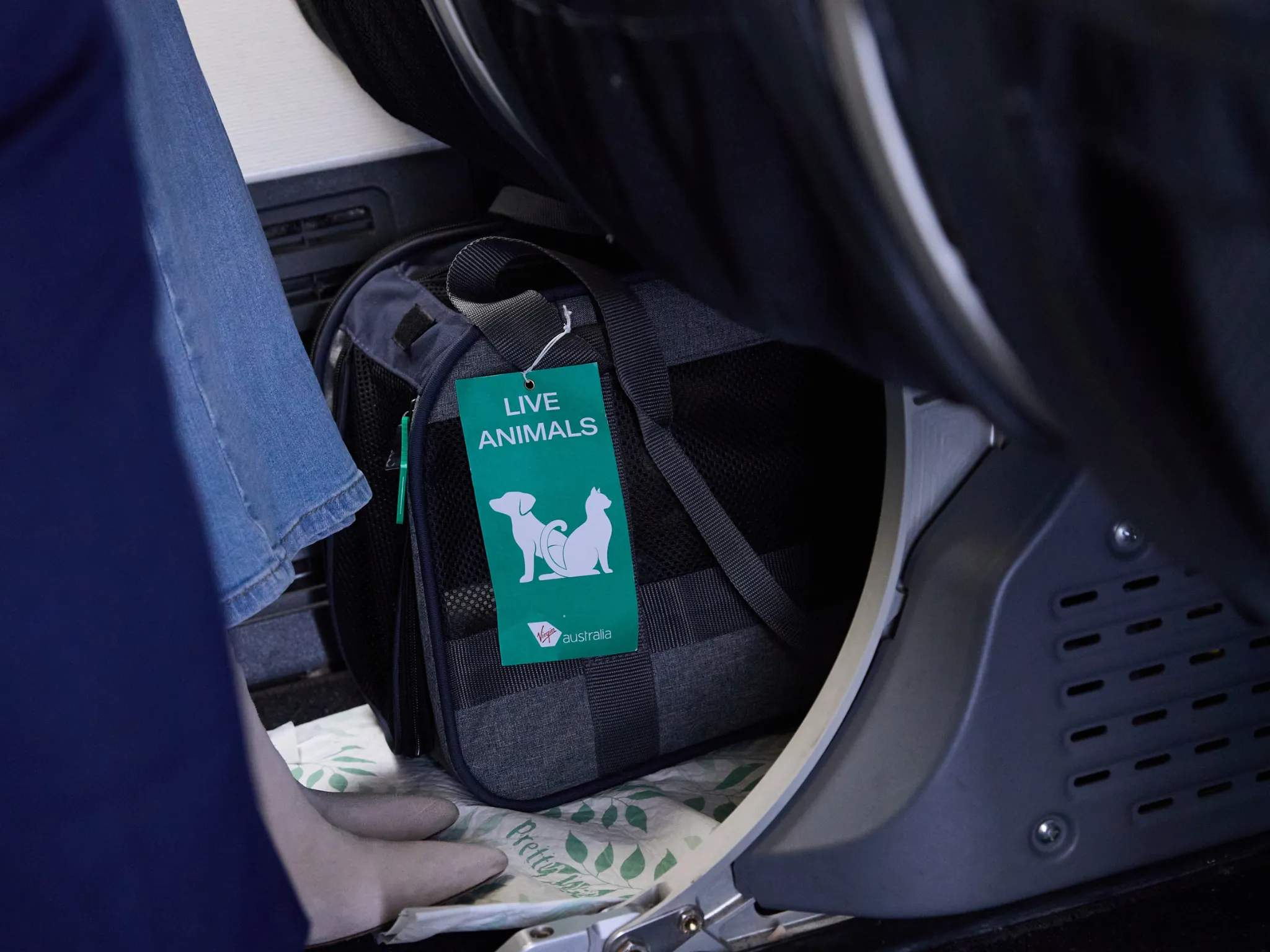 Pet carrier under plane seat