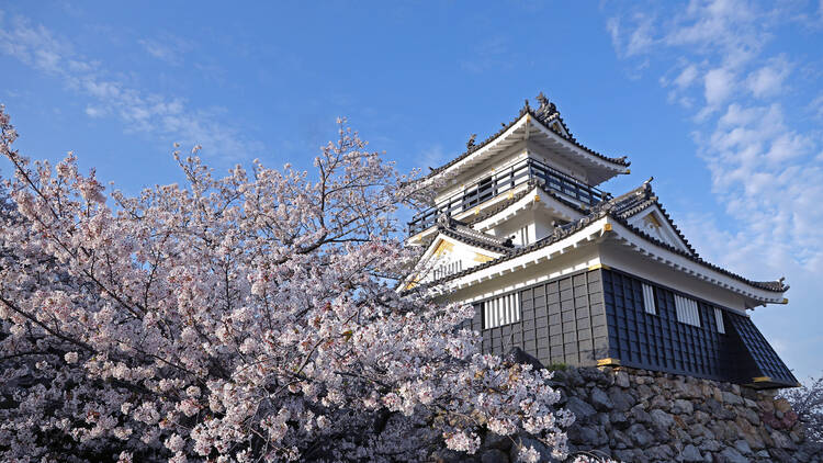 Hamamatsu Castle