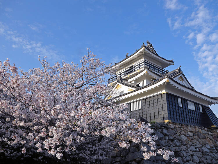 Hamamatsu Castle