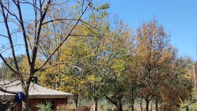 Tara Rokpa Centre (Groot Marico)