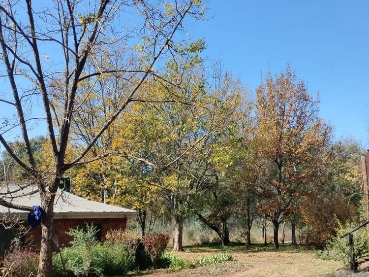 Tara Rokpa Centre (Groot Marico)