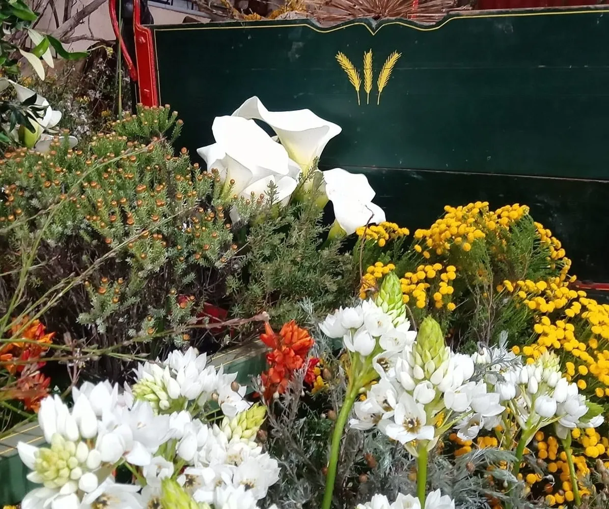 Darling Wildflower Show