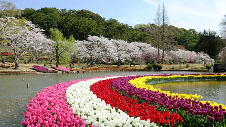 Hamamatsu Flower Park