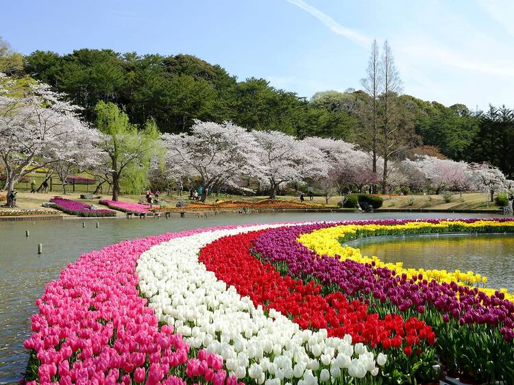 Hamamatsu Flower Park