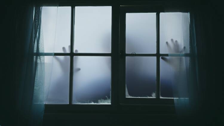 La Zona, túnel del terror