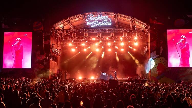 Rocking the Daisies
