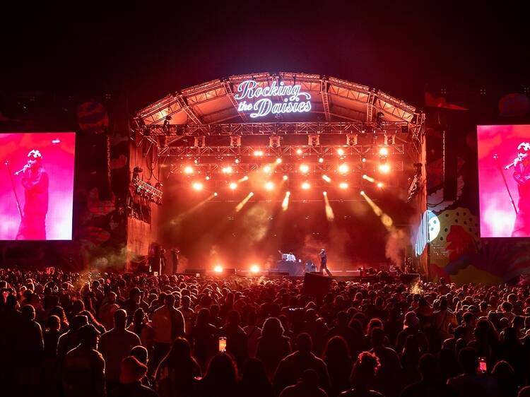Rocking the Daisies