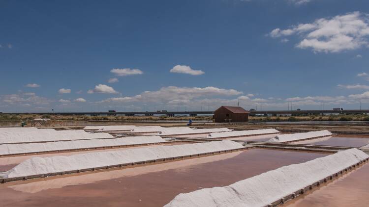 Salinas do Samouco