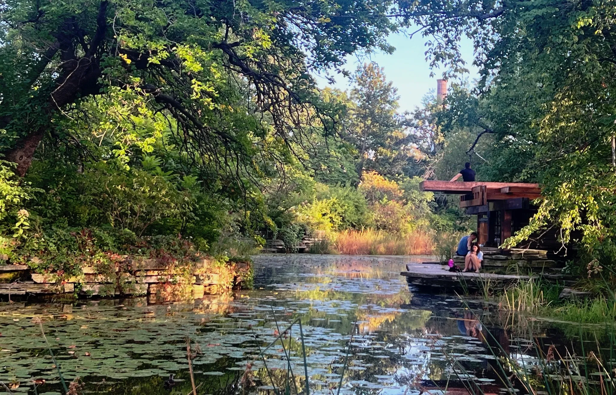 A panoramic photo of the Alfred Caldwell Lily Pool