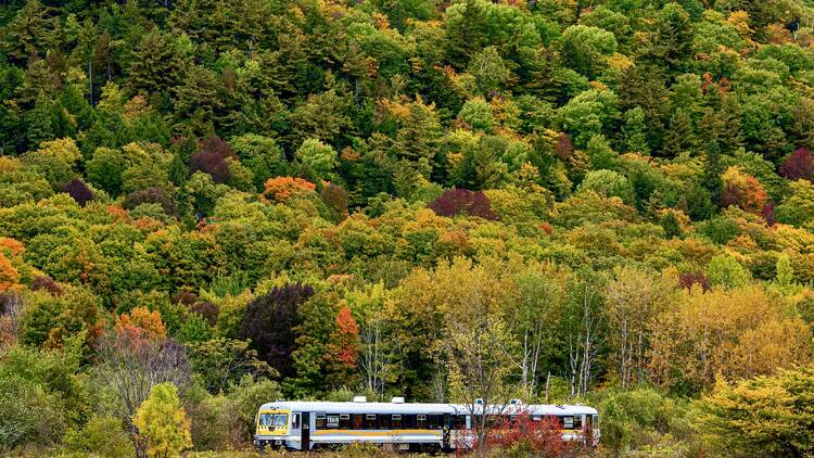 Ride this Quebec train to see coastal villages and hills wrapped in fall colours — panoramic windows included