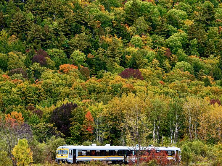 Ride this Quebec train to see coastal villages and hills wrapped in fall colours — panoramic windows included