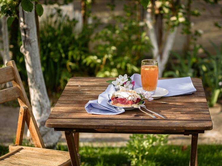 Buenos Aires outdoors: 6 patios, terraces, and gardens to enjoy spring