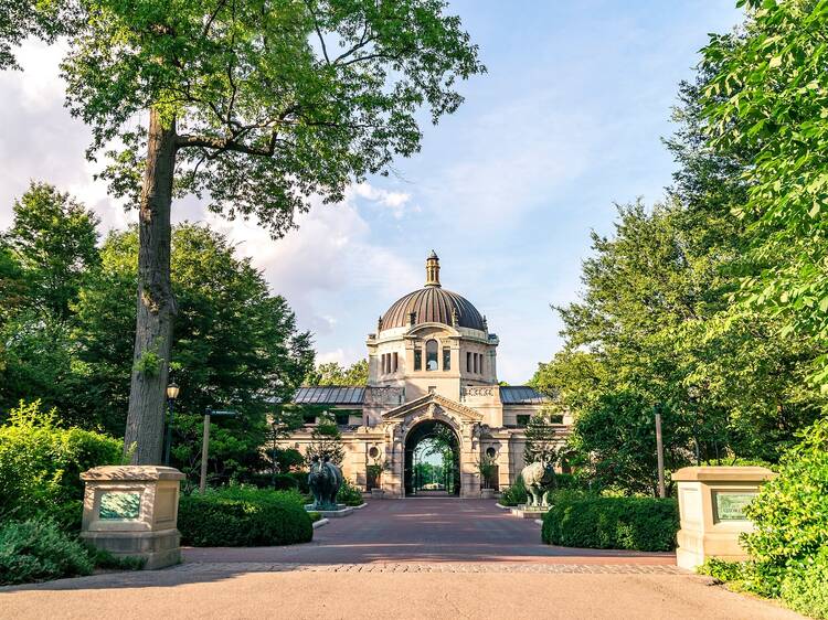 'Daniel Tiger's Neighborhood' will come to life at the Bronx Zoo next year