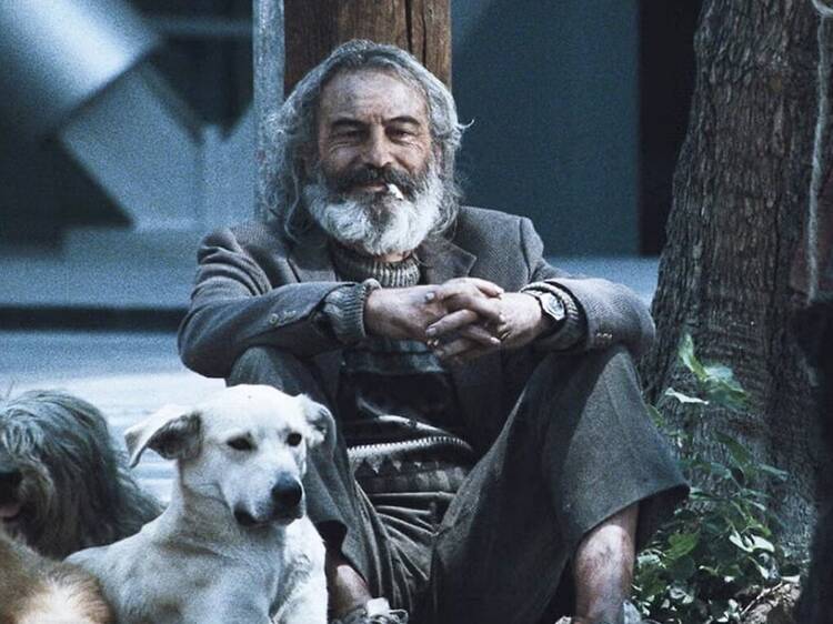 Amores perros reestrena en cines por sus 25 años!