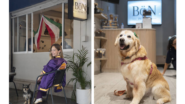 BöN Pet Spa