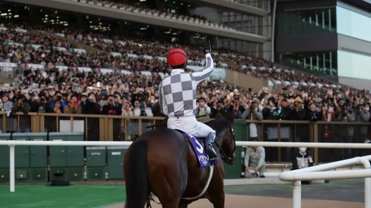 3. 祝福は勝ち馬とジョッキーへ直接送る。 3. 祝福は勝ち馬とジョッキーへ直接送る。