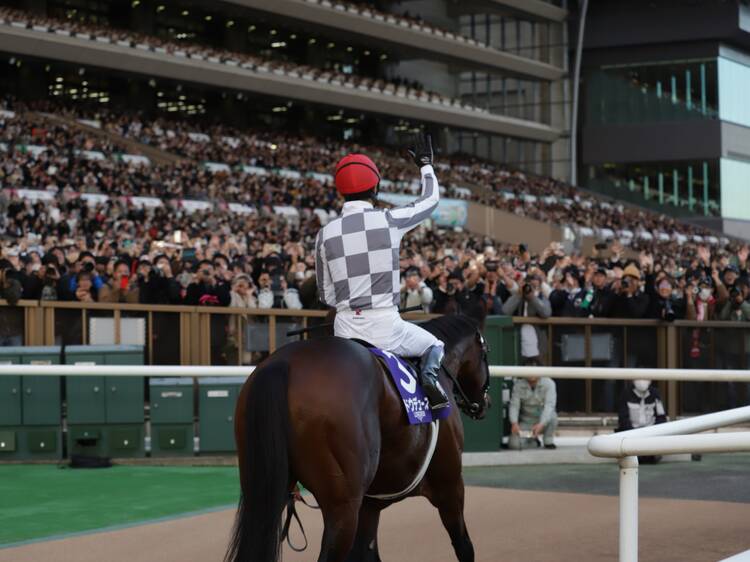 3. 祝福は勝ち馬とジョッキーへ直接送る。 3. 祝福は勝ち馬とジョッキーへ直接送る。