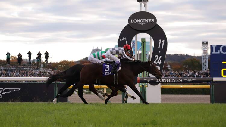 1. GIレースの熱狂に包まれる。 1. GIレースの熱狂に包まれる。