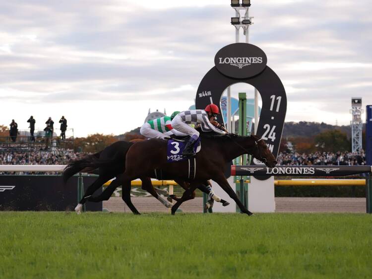 1. GIレースの熱狂に包まれる。 1. GIレースの熱狂に包まれる。