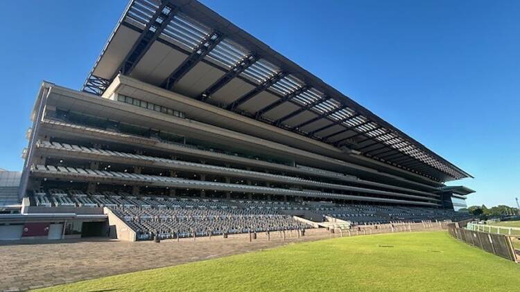 JRA日本中央競馬会 JRA日本中央競馬会