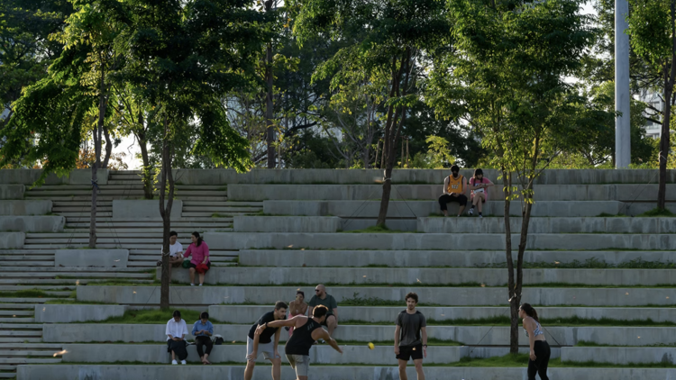 Reading in the park