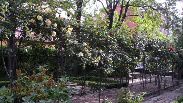Rosaleda de los Jardines del Príncipe de Anglona