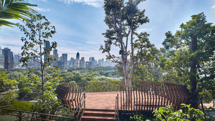 Bird Nest Viewpoint