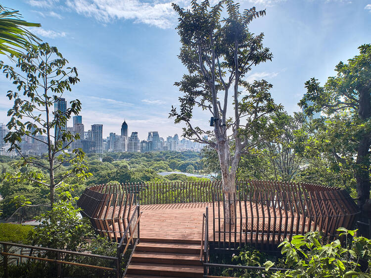 Bird Nest Viewpoint