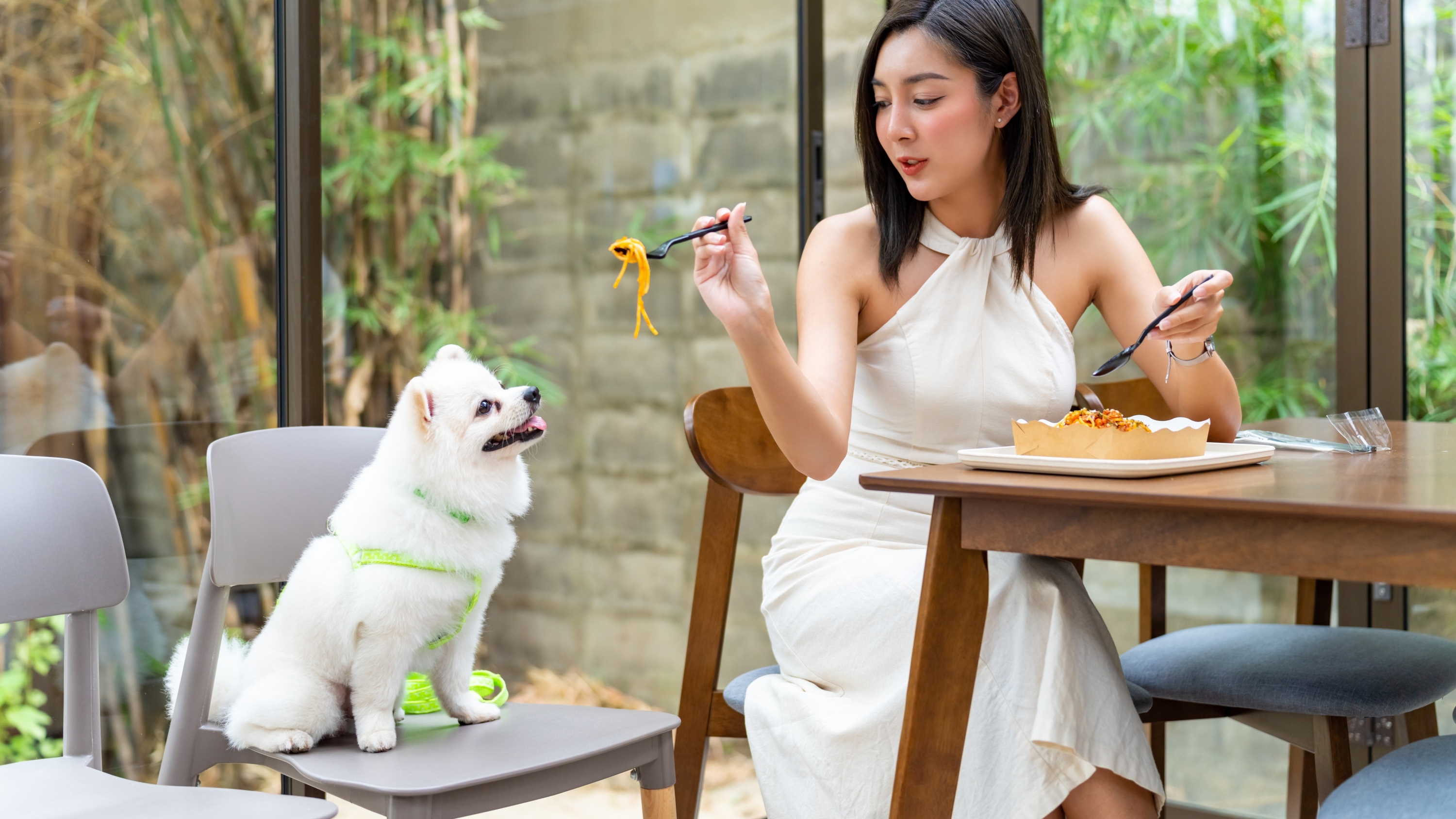Good news for pups! Over 940 Hong Kong eateries are now welcoming dogs inside