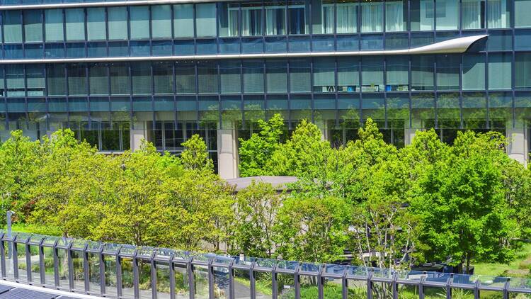 Grand Front Osaka – Minamitate Terrace Garden