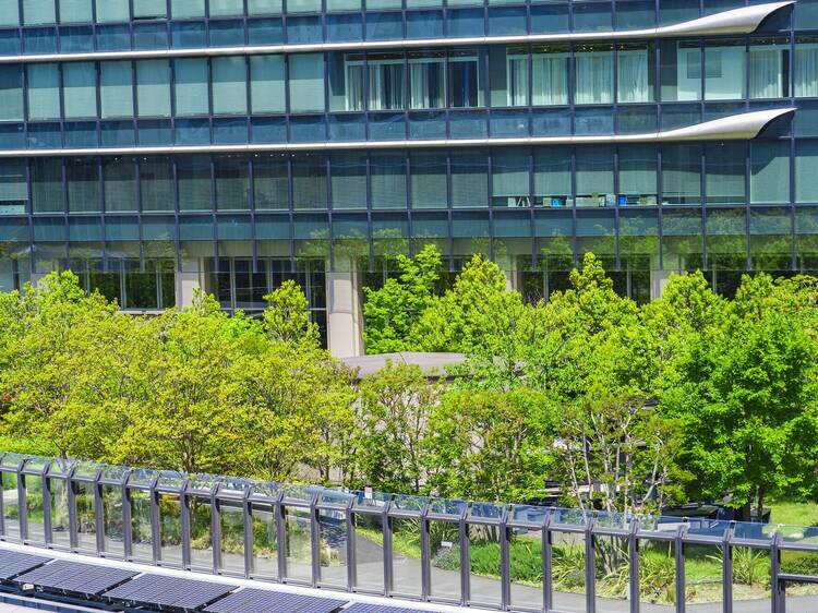 Grand Front Osaka – Minamitate Terrace Garden