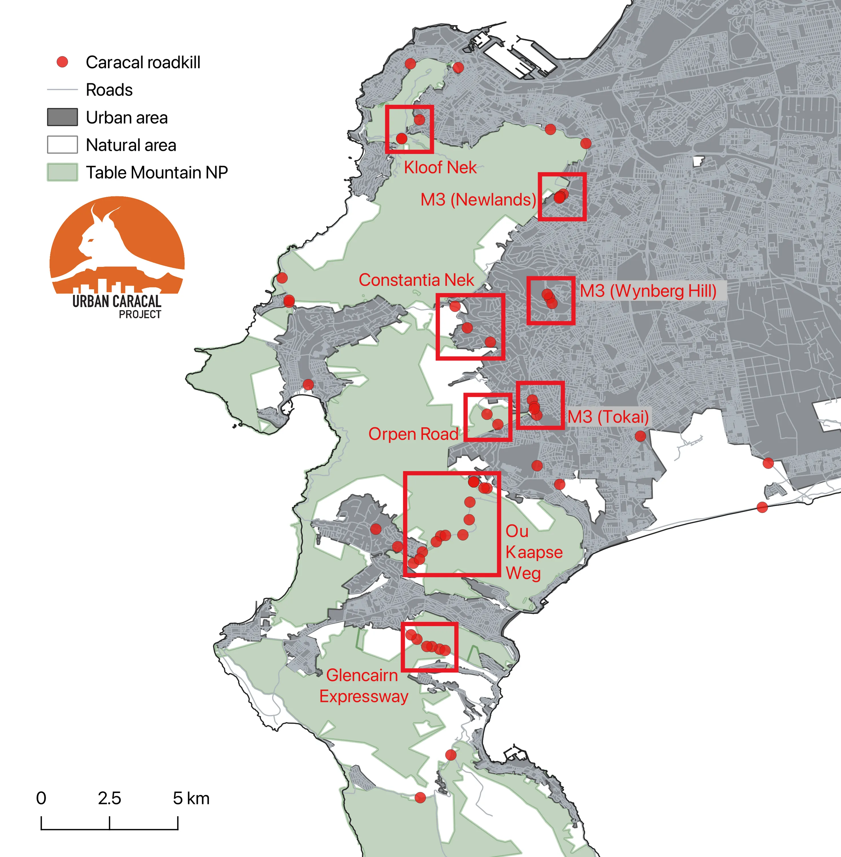 The Urban Caracal Project Roadkill Hotspots