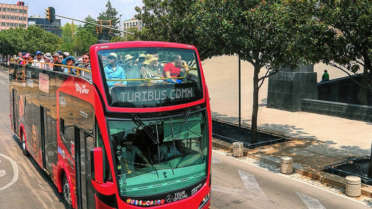 Recorrido nocturno de Turibus gratis para niños: aquí los detalles Recorrido nocturno de Turibus gratis para niños: aquí los detalles