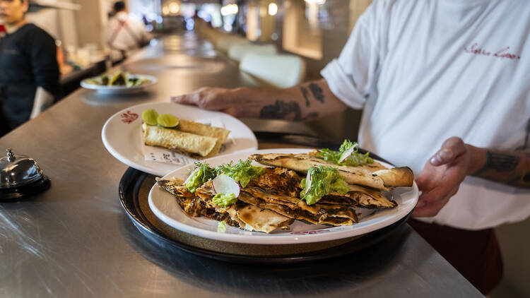 Barra Lupe Barra Lupe