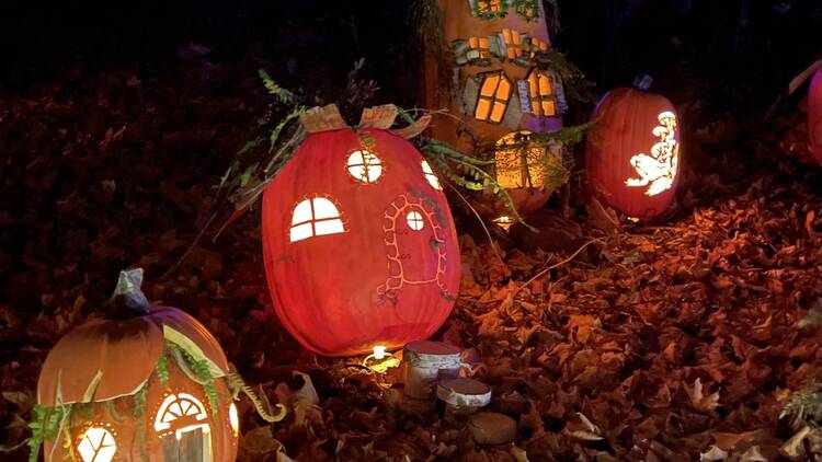 Stockbridge, MA: The Incredible Naumkeag Pumpkin Show Stockbridge, MA: The Incredible Naumkeag Pumpkin Show