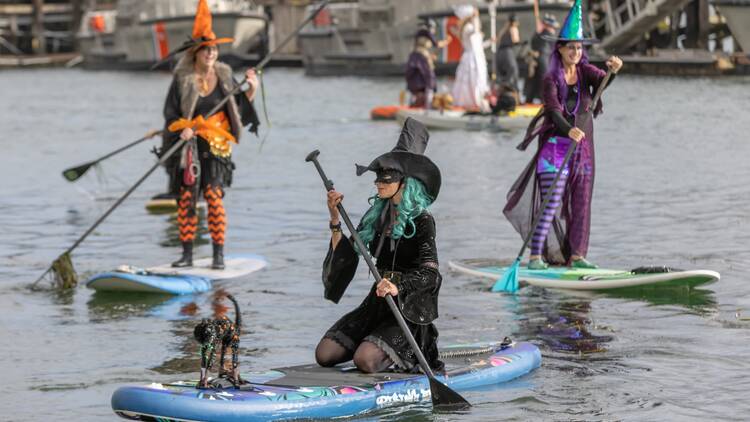 Morro Bay, CA: The Witches Paddle