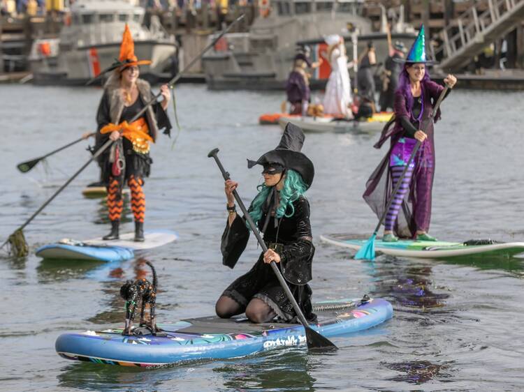 Morro Bay, CA: The Witches Paddle
