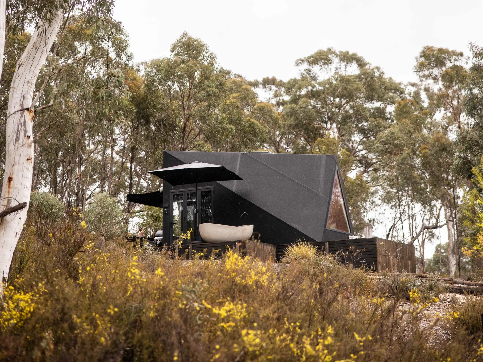 Tiny home in bush