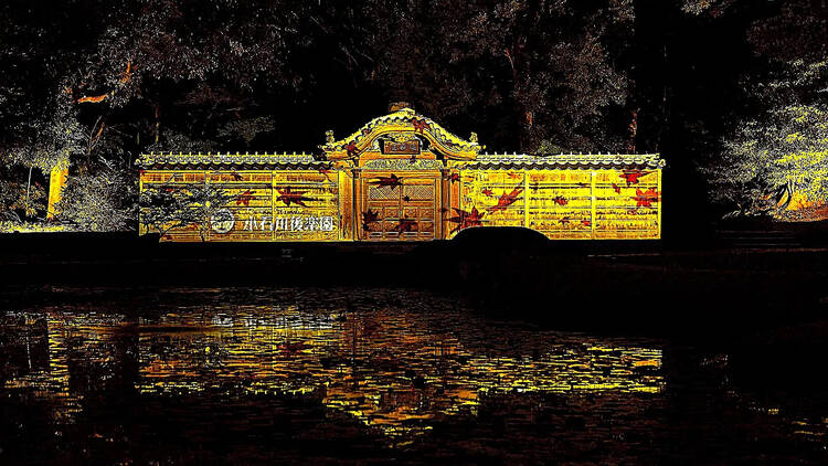Long Autumn Evenings -  Illumination at Koishikawa Korakuen Gardens