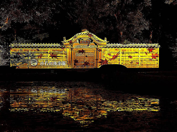 Long Autumn Evenings -  Illumination at Koishikawa Korakuen Gardens
