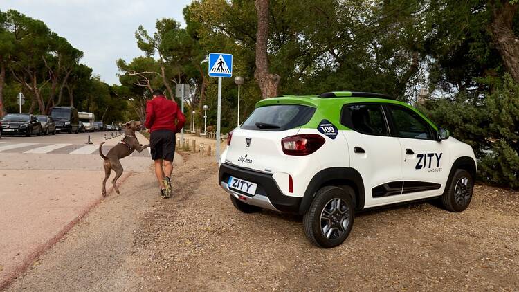 Café en Conde Duque, paseo en El Retiro