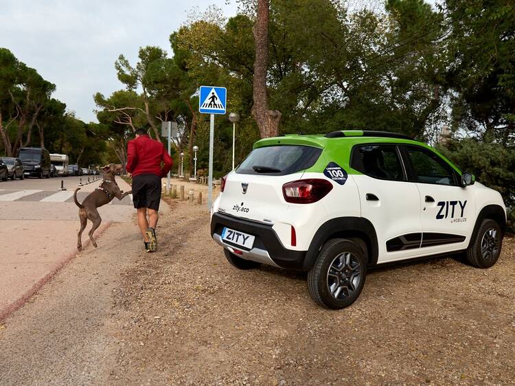 Café en Conde Duque, paseo en El Retiro