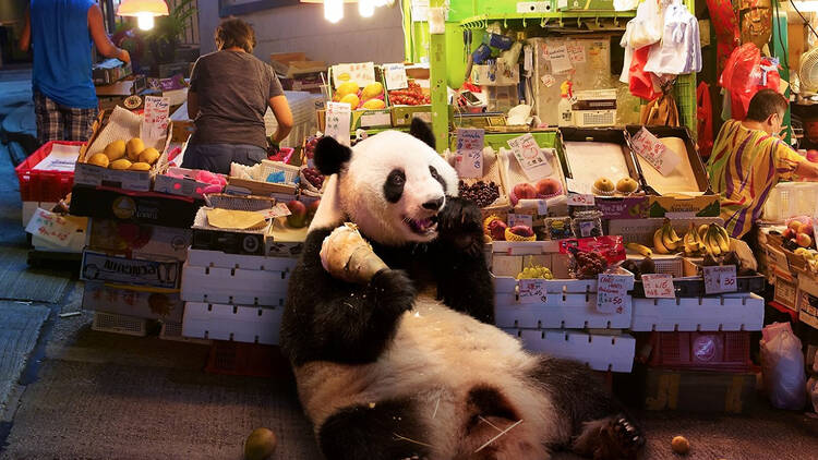 Street stall panda Surrealhk